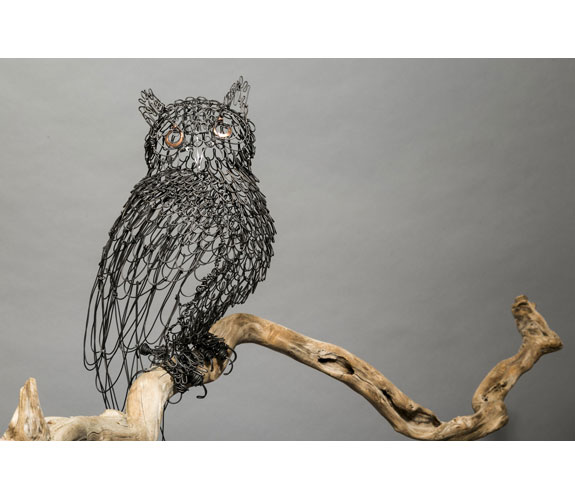 Colleen Cotey - "All Seeing" Owl
